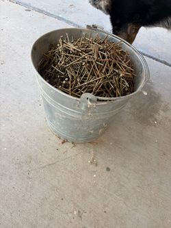 bucket of nails