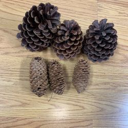 5 Festive Holiday Pine Cones 