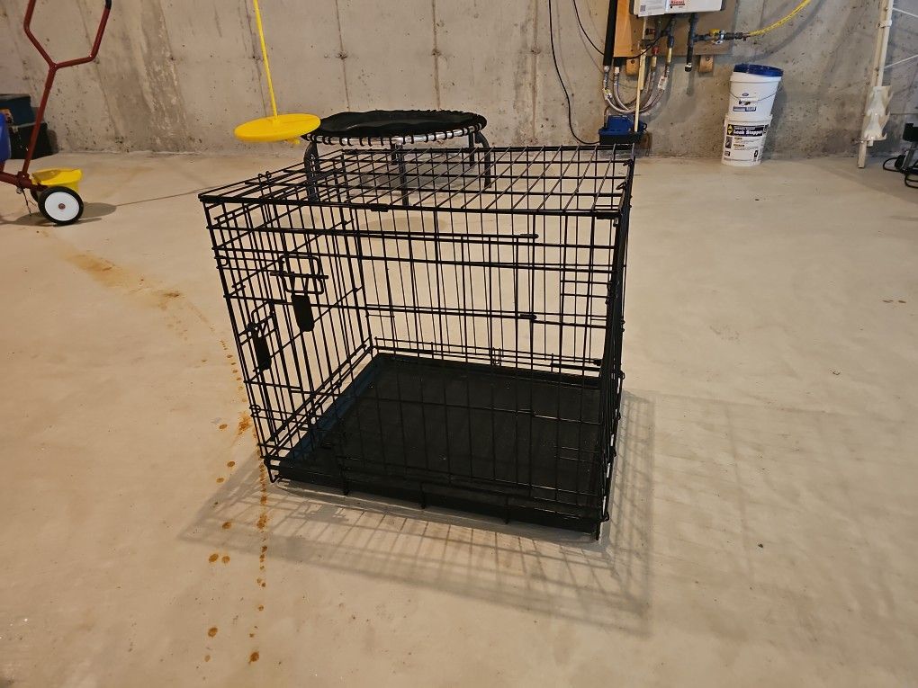 Kennel 