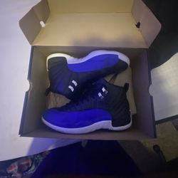 Royal Blue Jordan 12a