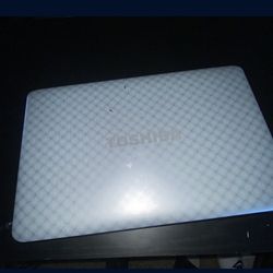 Laptop (Older Model)