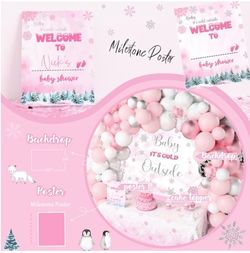 Baby It’s Cold Outside Baby Shower Decorations