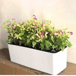 Self watering plant pot - 15inch