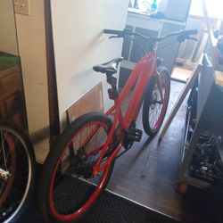 Pedego E Bike