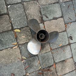 Bravo marine Bravo marine Bravo 3