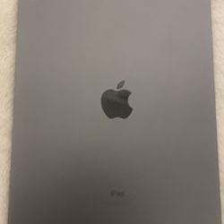 iPad Pro 11" Wifi And Cellular Data Latest iOS26