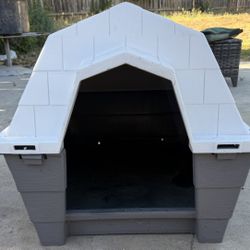 Dog House 