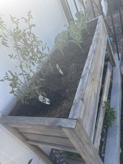 Planter As Is