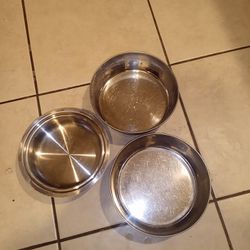 3 Dog Bowls