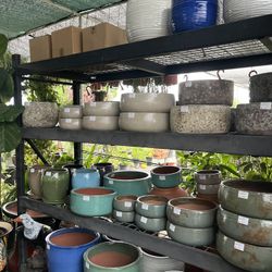 Ceramic And Terracotta Pots Available From $2 And Up 