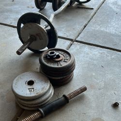 Free Style Weights