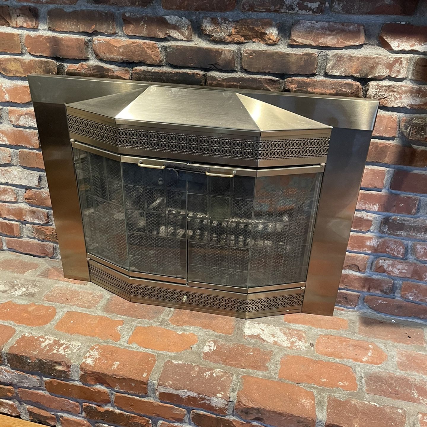 Fireplace glass door & screen