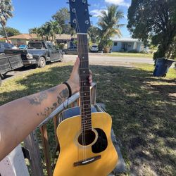 Rogue acoustic guitar