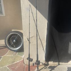 Trolling Fishing Rods 