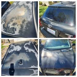 Auto Body And Paint Repair 