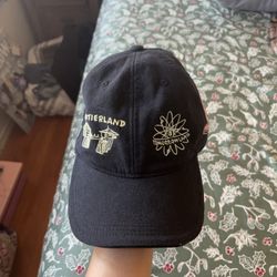 Disneyland Hat