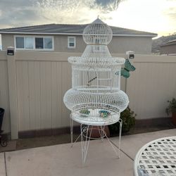 Bird Cage -