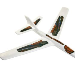 ✈️HIGH FLYING MAUI LARGE PLANE ✈️