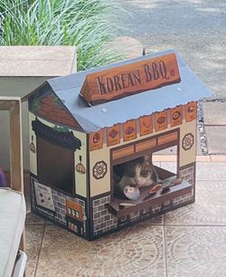 Korean Bbq Cardboard Cat Scratching House