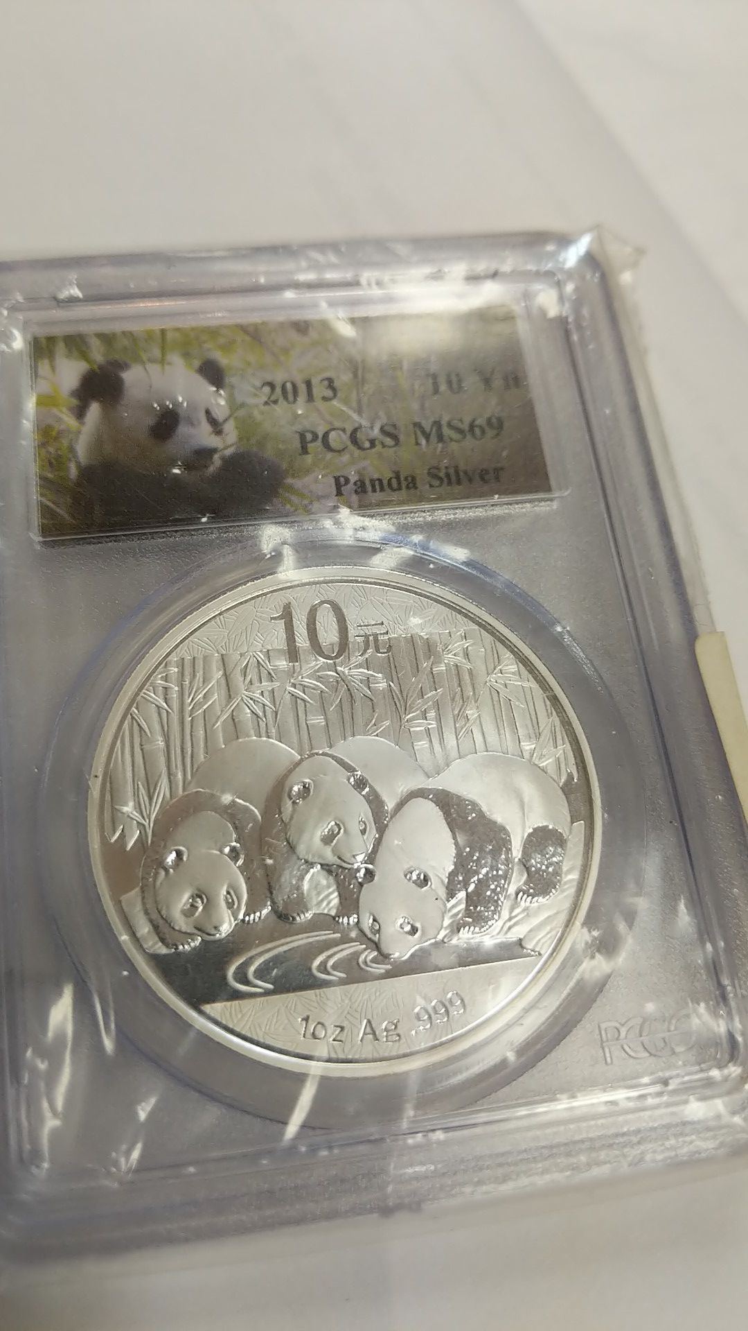 PANDA SILVER SOLID 2013 coin
