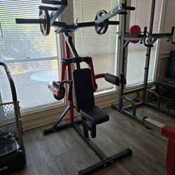 Plate-Loaded Deltoid And Shoulder Press Machine (Iron Grip Plates NOT Included)