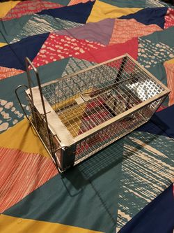 Mouse Exterminator Trap Easy Set Up And Fast Forever 