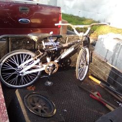 Vintage FMF Junior Expert Bmx Bike