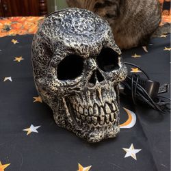Misting Spooky Skull Decoration