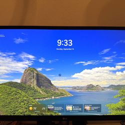LG Monitor 