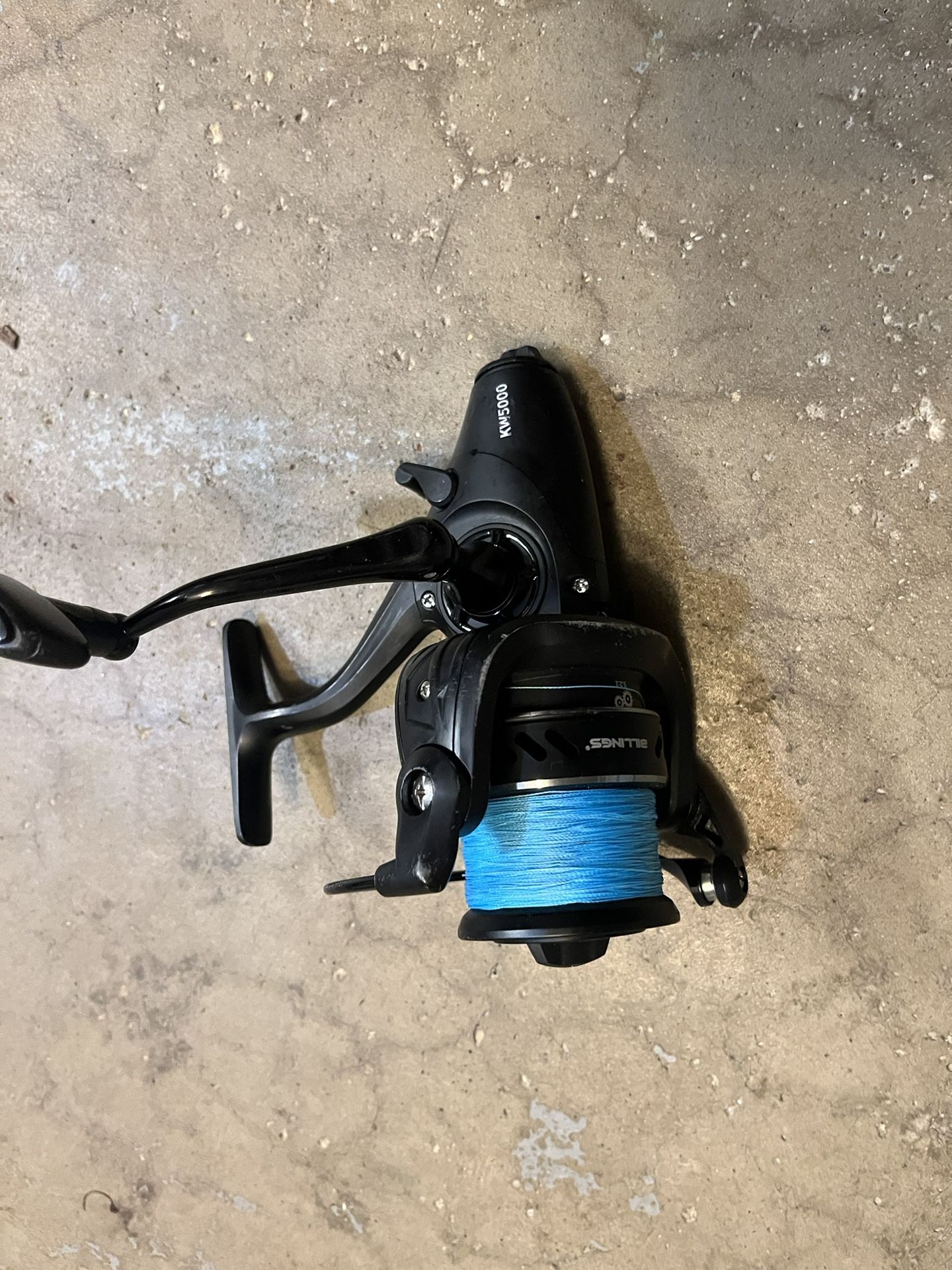 5000 Size Spinning Reel