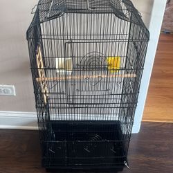 Bird Cage