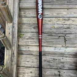 Worth Youth Baseball Bat