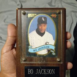 Baseball Collectors Card Bo.Jackson 