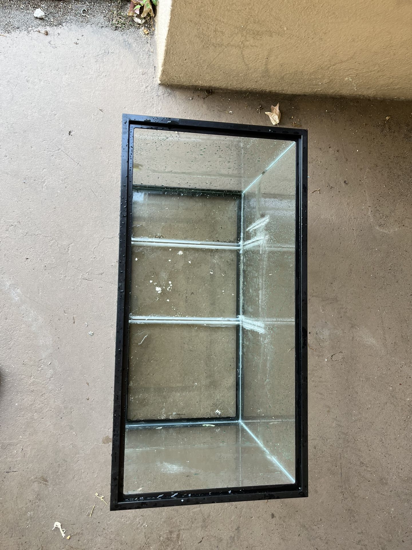 Fish Tank
