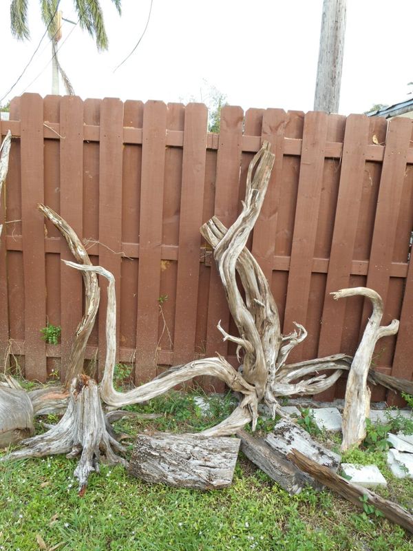 DRIFTWOOD. . for Sale in Hollywood, FL OfferUp