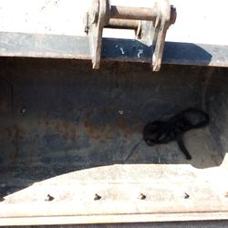TAG small Excavator Bucket 