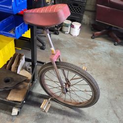 Unicycle