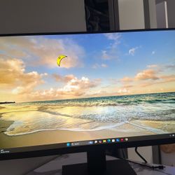 27’’ Monitor 