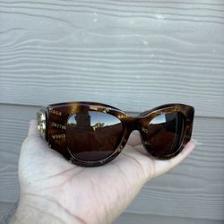 Balenciaga sunglasses Paris Cat Brown BB0070S