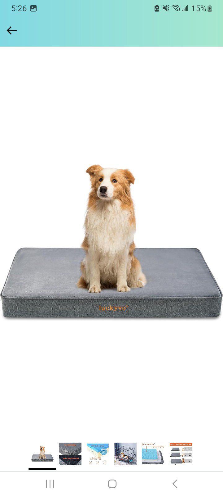 BRAND NEW LARGE SIZE DoG BED $15