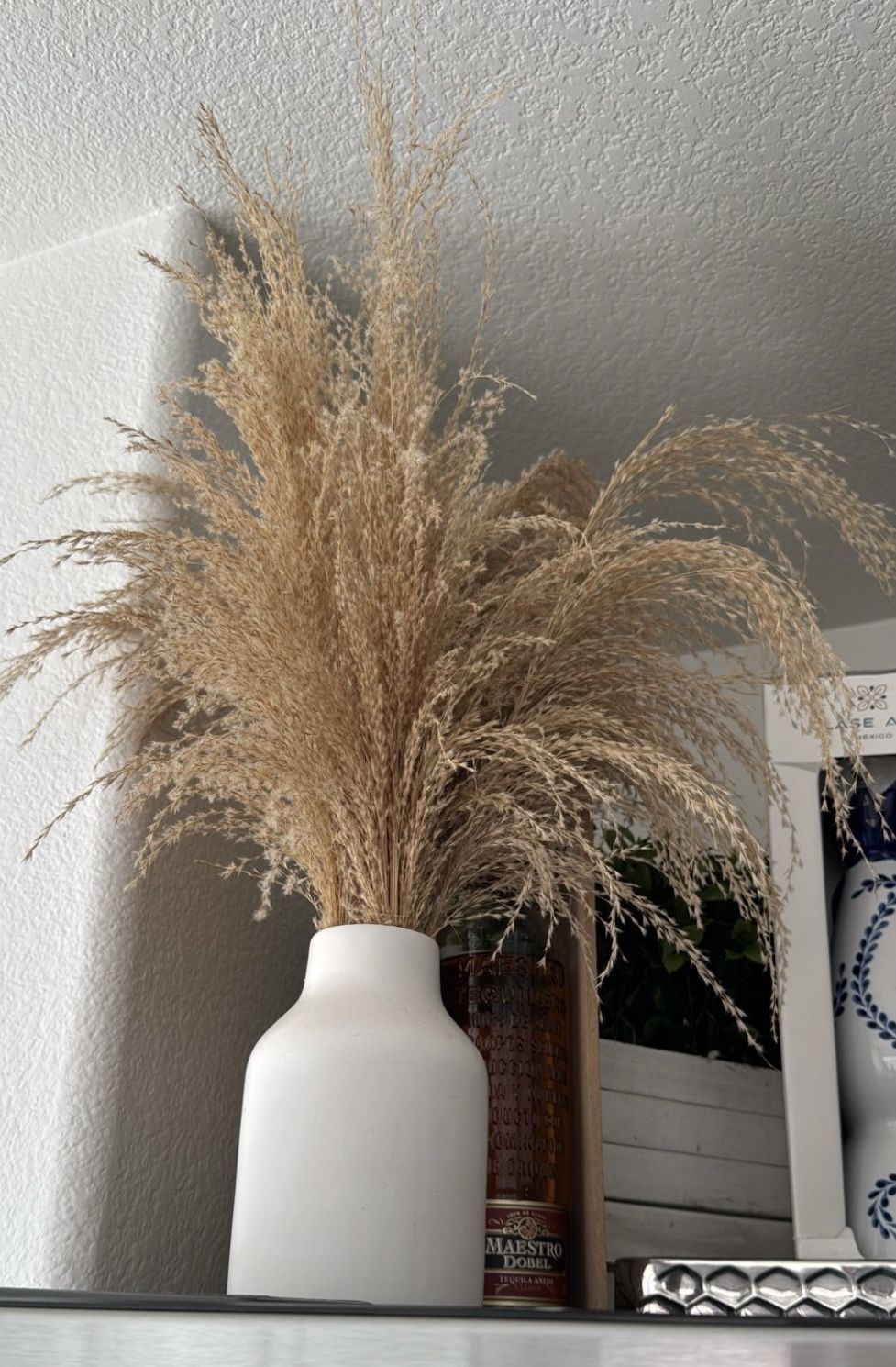 Plants , Decorations And Much More