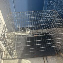Kennel