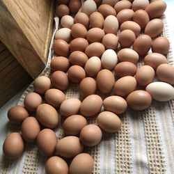 Farm Fresh Eggs