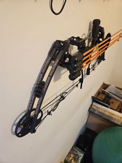 Compound Bows