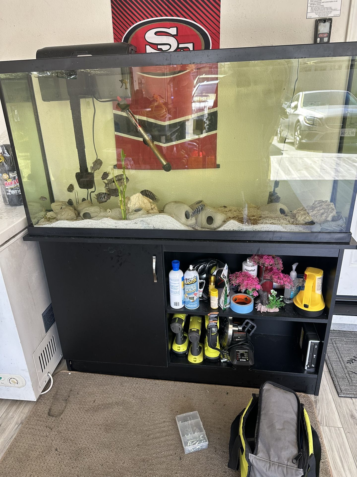 60 Gallon Fish Tank And Stand