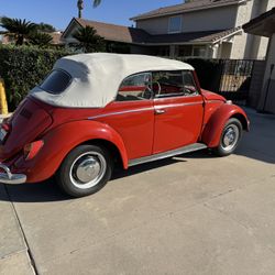 1965 Vw Bug Convertible