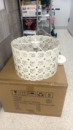 Designer Ceiling hanging light