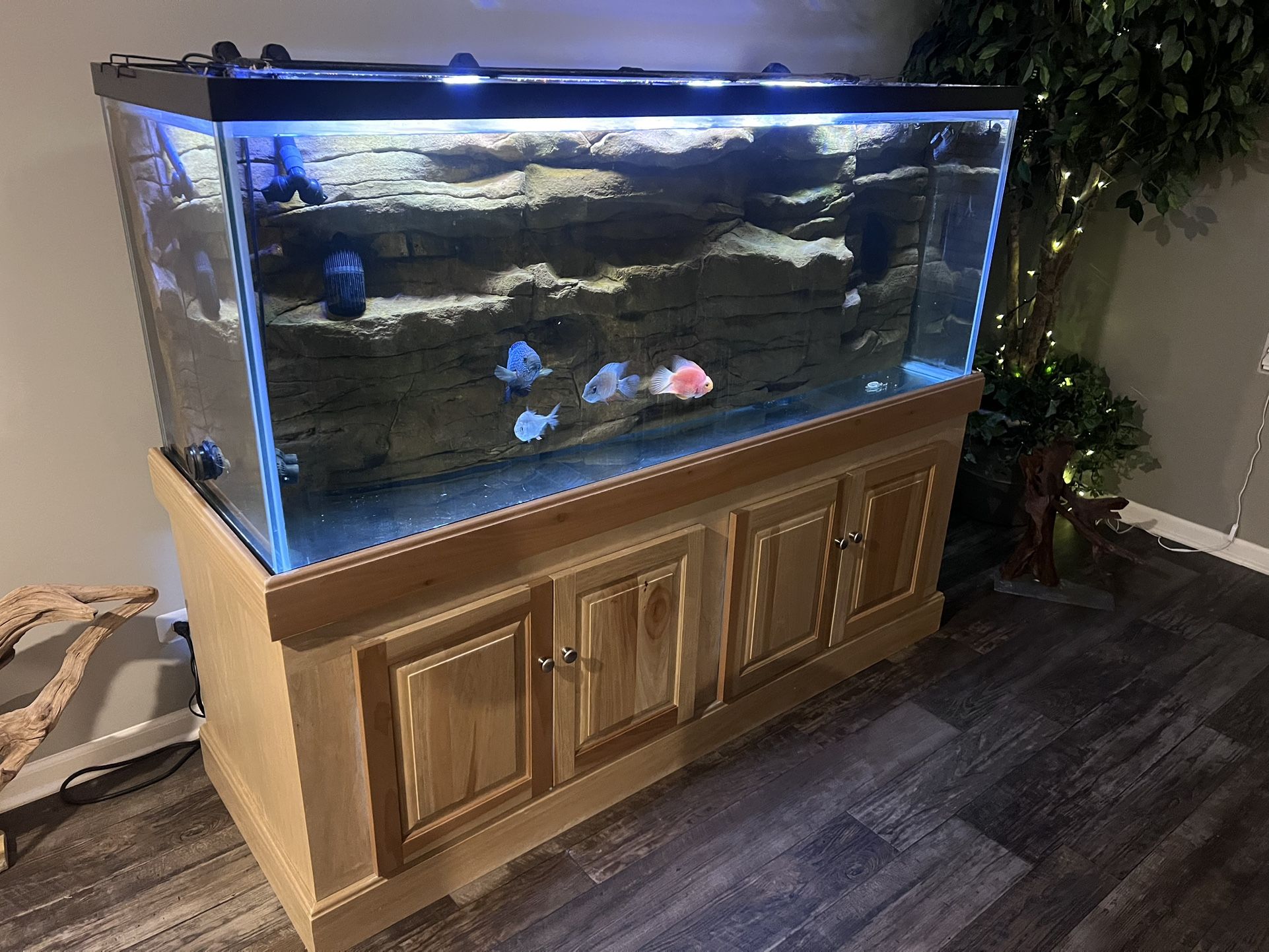 220 Gallon Glass Aquarium & Stand