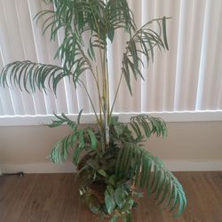 Artificial Plant 