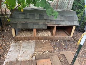 Chicken nest